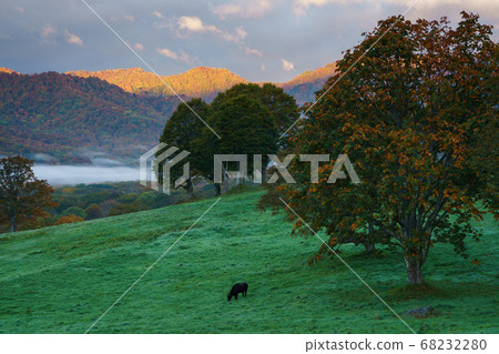 [Myoko Togakushi Mountains National Park] Sasagamine in autumn at sunrise 68232280