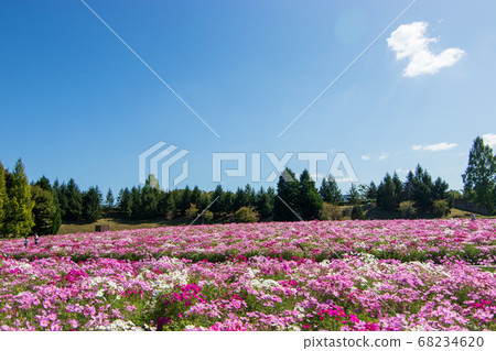莊原部北山公園的宇宙 莊原部北山公園的宇宙 68234620