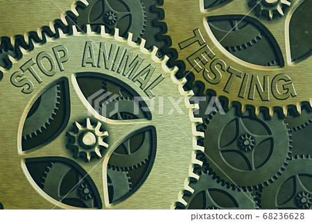 Handwriting text writing Stop Animal Testing Handwriting text writing Stop Animal Testing 68236628