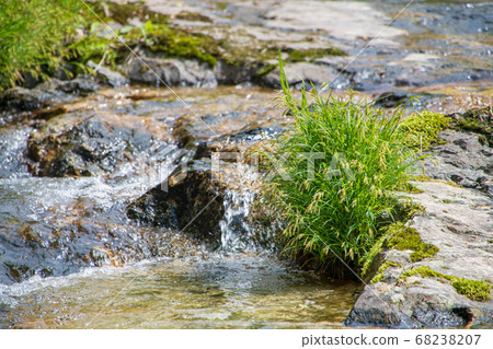 Terubakyo Okutone Minakami Town, Gunma Prefecture Terubakyo Okutone Minakami Town, Gunma Prefecture 68238207