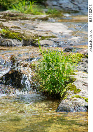 Terubakyo Okutone Minakami Town, Gunma Prefecture Terubakyo Okutone Minakami Town, Gunma Prefecture 68238208