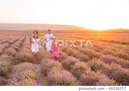 Family of four in lavender flowers field 68238257