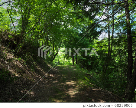 林路花之山 68239005