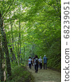 A walking path around the lake 68239051