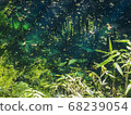 The sense of transparency of Aoike in the 12 lakes 68239054
