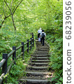 A walking path around the lake 68239056