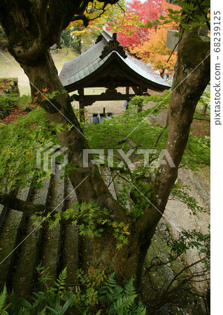 A walk in the four seasons Autumn Yabu Shrine A walk in the four seasons Autumn Yabu Shrine 68239125