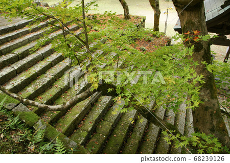 四個季節的秋季八部神社散步 68239126