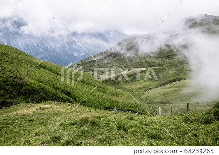 Grass field with cloud at Swiss Alps mountain Grindelwald First in Switzerland Grass field with cloud at Swiss Alps mountain Grindelwald First in Switzerland 68239265