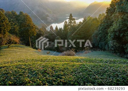 Tsukigase, Tea Field and Asahi (Nara City, Nara Prefecture) 68239293