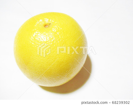 grapefruit grapefruit 68239302