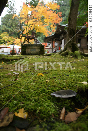 四個季節的秋季八部神社散步 68239415