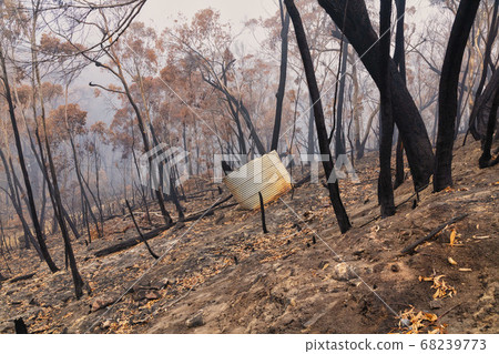 A water tank and gum trees burnt by severe bushfire in The Blue Mountains in Australia A water tank and gum trees burnt by severe bushfire in The Blue Mountains in Australia 68239773