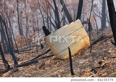 A water tank and gum trees burnt by severe bushfire in The Blue Mountains in Australia 68239774