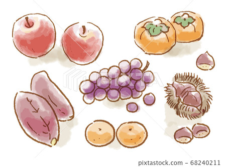Hand drawn watercolor style autumn fruits illustration set / white background 68240211