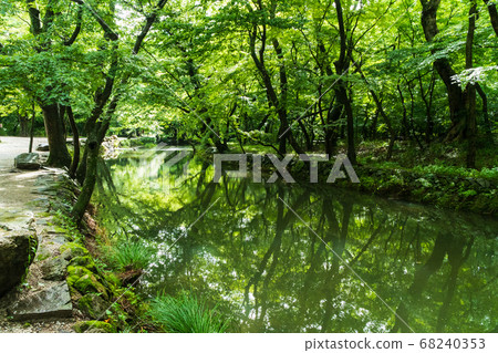 Stream, Seonunsa Temple, Jeonbuk Stream, Seonunsa Temple, Jeonbuk 68240353