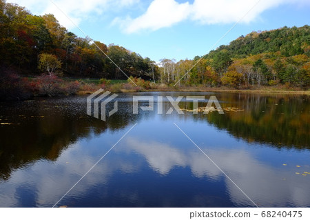 Shiga Kogen (Ichinuma) 68240475