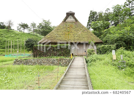 Nakaikemi濕地 68240567