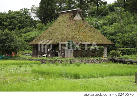 Nakaikemi Wetland 68240570