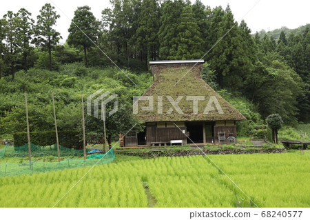 Nakaikemi Wetland Nakaikemi Wetland 68240577