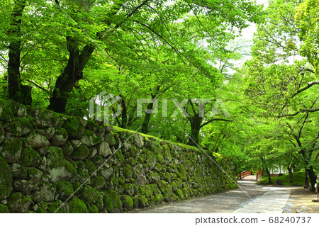 日本百座著名城堡和小森城 68240737