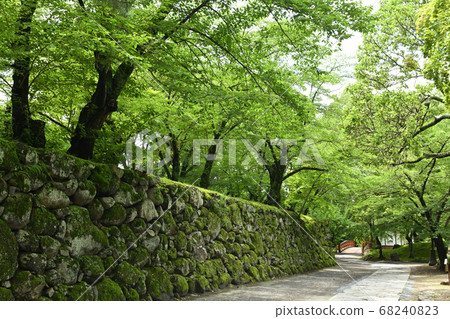 日本百座著名城堡和小森城 68240823