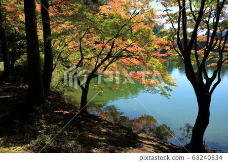 Autumn landscape of Minami Inaga Autumn landscape of Minami Inaga 68240834
