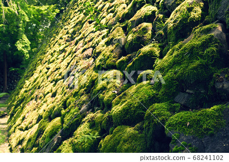 100 famous castles in Japan and Komoro castle 68241102