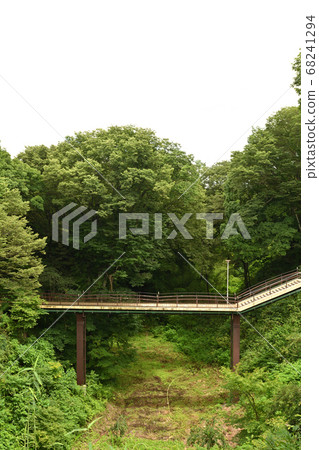 日本百座著名城堡和小森城 68241294