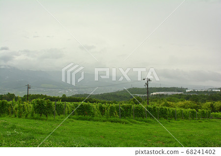 Nagano and bowl winery Nagano and bowl winery 68241402