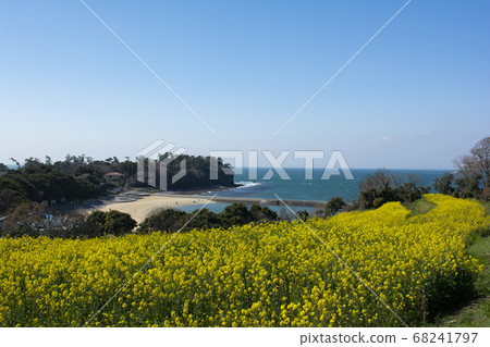 Oita Oita 68241797