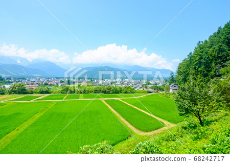 夏日鄉村風景（長野縣白馬村） 68242717