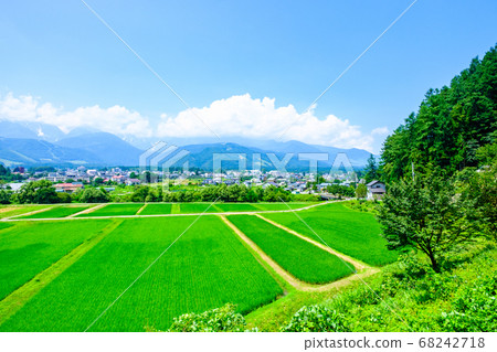 Summer rural landscape (Hakuba Village, Nagano Prefecture) Summer rural landscape (Hakuba Village, Nagano Prefecture) 68242718
