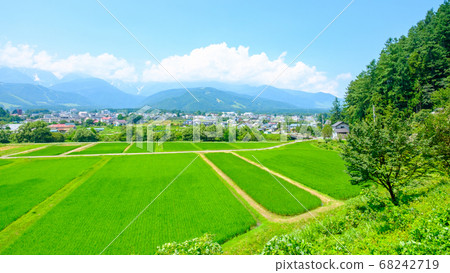 夏日鄉村風景（長野縣白馬村） 68242719