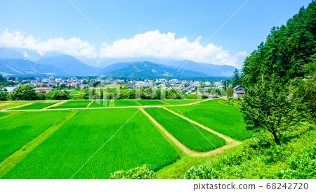 夏日鄉村風景（長野縣白馬村） 68242720