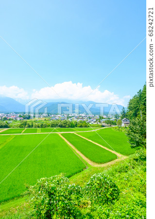 Summer rural landscape (Hakuba Village, Nagano Prefecture) 68242721