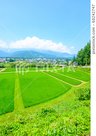 Summer rural landscape (Hakuba Village, Nagano Prefecture) 68242747