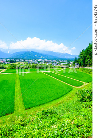 Summer rural landscape (Hakuba Village, Nagano Prefecture) 68242748