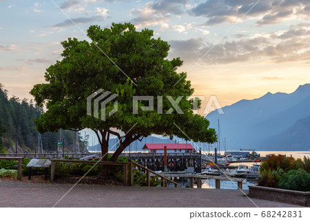 Horseshoe Bay with Marina and Howe Sound in Background Horseshoe Bay with Marina and Howe Sound in Background 68242831