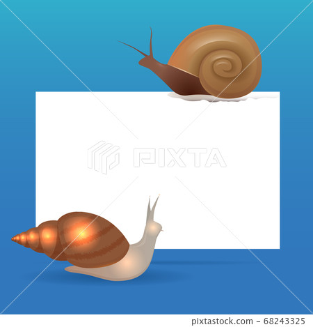 Banner template with snails and place for text. Vector element for your design 68243325