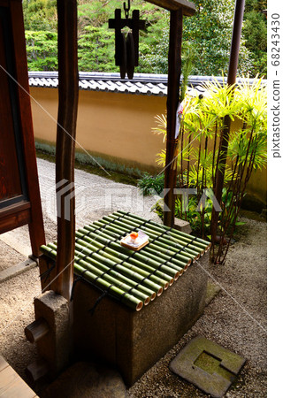 龍舌蘭花園 68243430