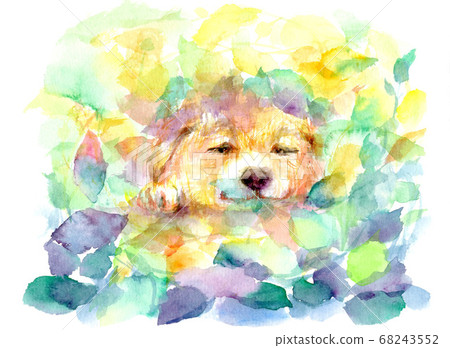畫在水彩畫上睡午覺的狗的插圖 68243552