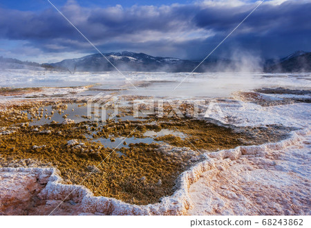 Mammoth Hot Springs Mammoth Hot Springs 68243862