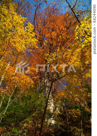 蘆津谷的秋天景色 68244090