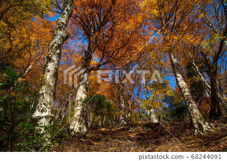 蘆津谷的秋天景色 68244091