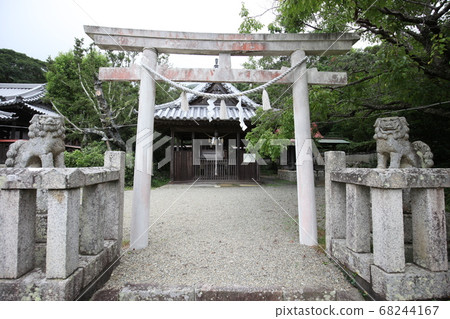 Ozaki shrine 68244167