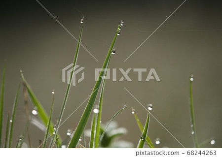 草葉湯 草葉湯 68244263