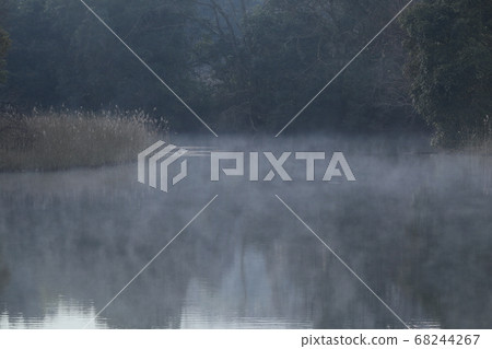 Morning fog Morning fog 68244267