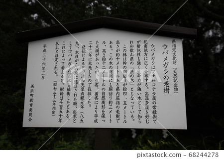 Ozaki shrine Ozaki shrine 68244278