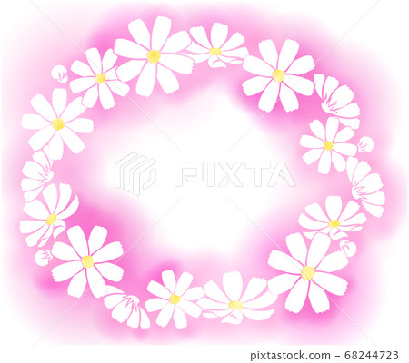 Cosmos frame 68244723